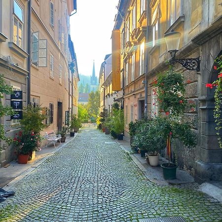 1Br Apartment On The Most Beautiful Street In Ljubljana Center Exteriér fotografie