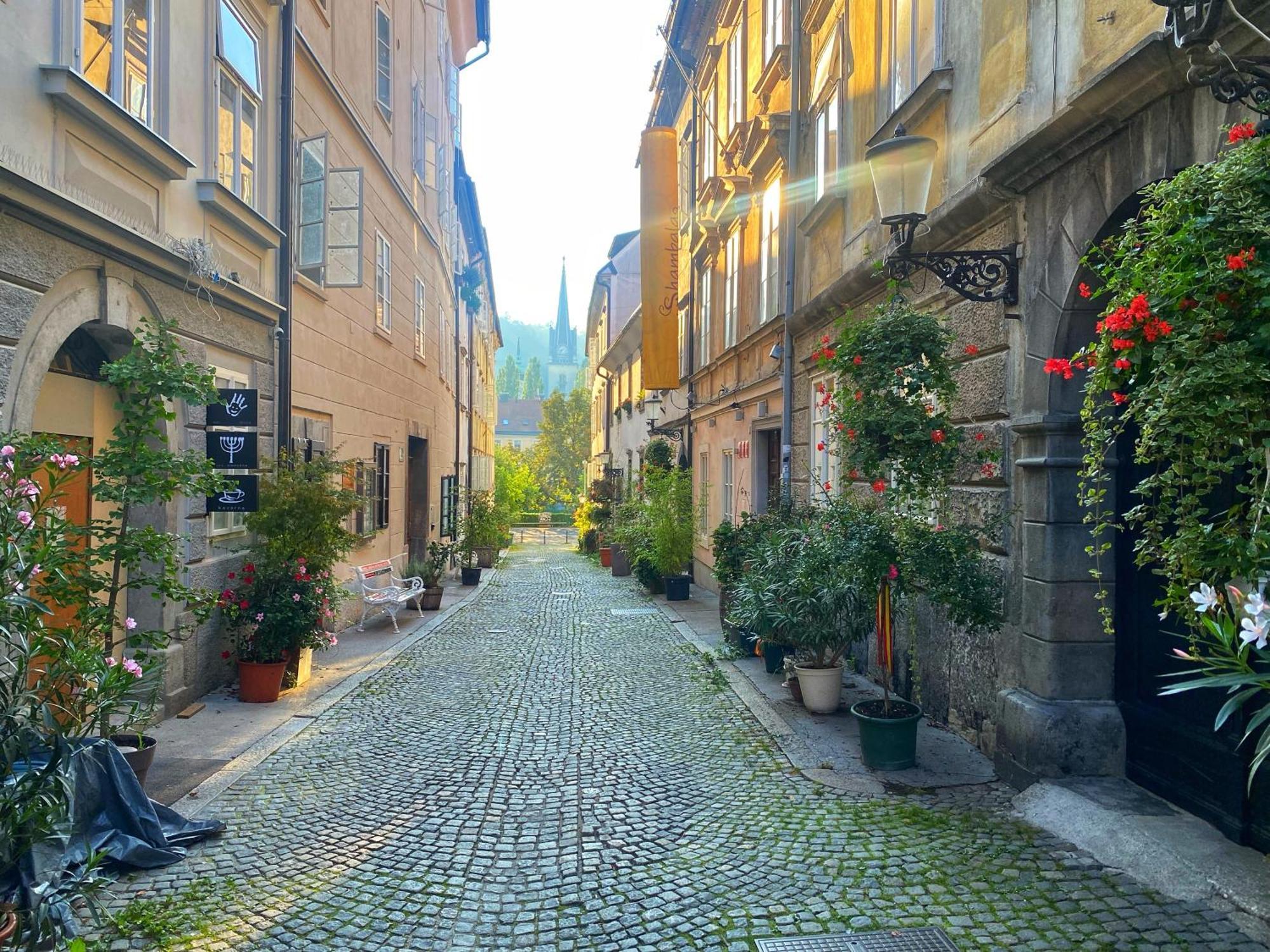 1Br Apartment On The Most Beautiful Street In Ljubljana Center Exteriér fotografie